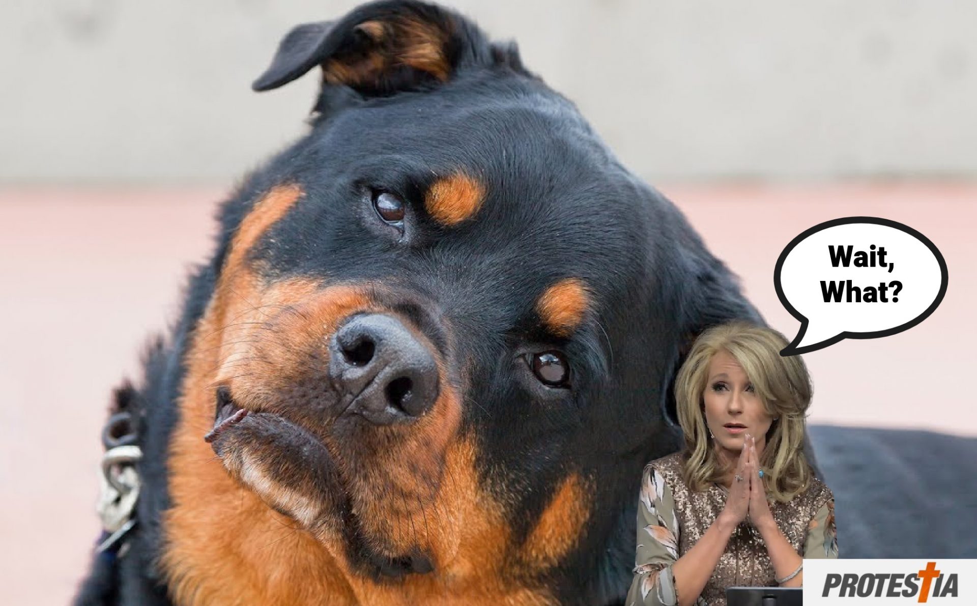 Example #769 of Beth Moore Preaching About As well As A Dog Can Walk On Its Hind Legs