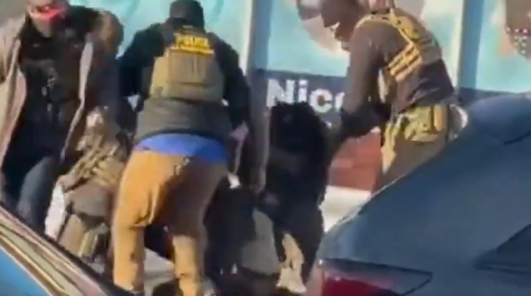 Video Shows Pretti Drawing Firearm While Resisting